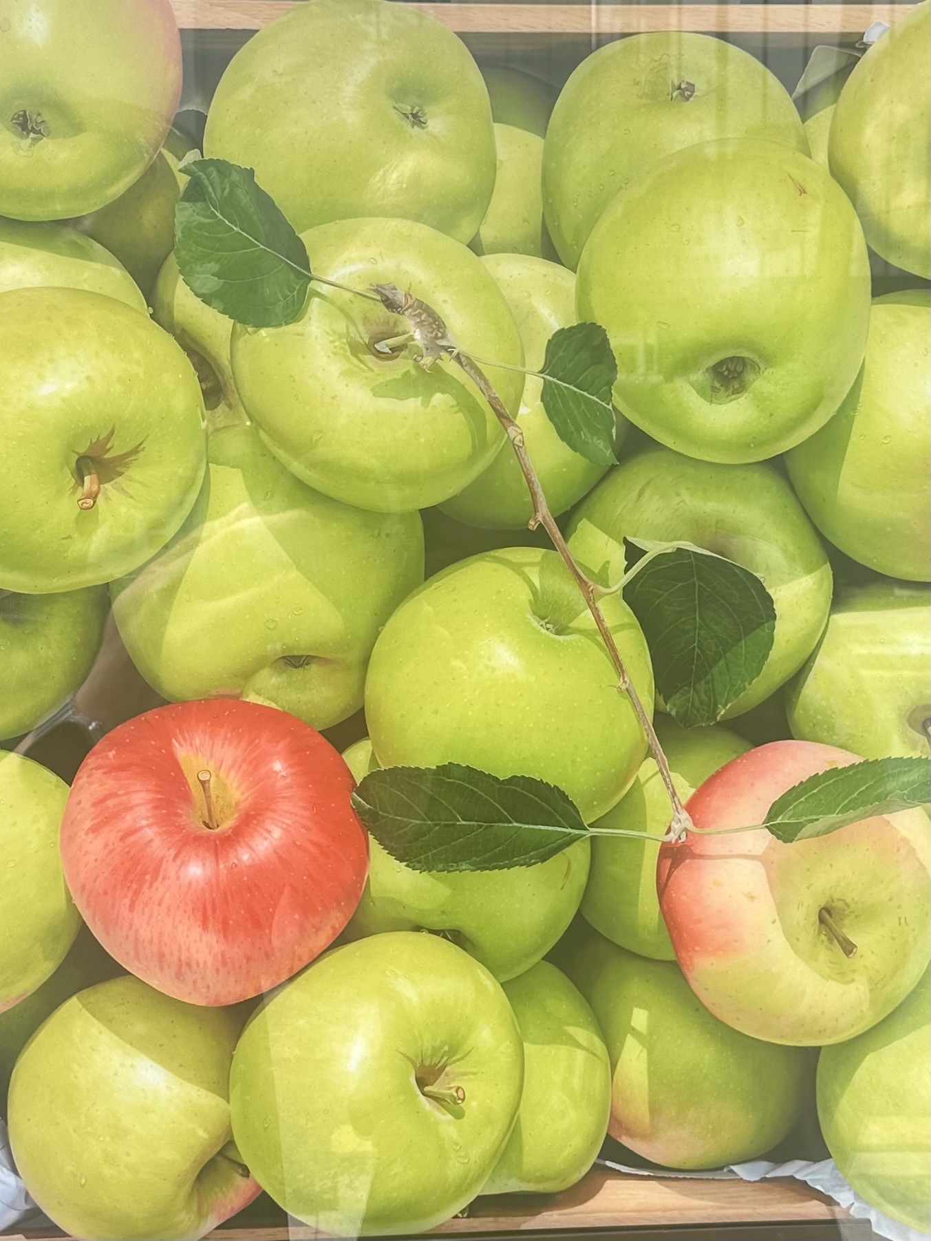 프로필 사진